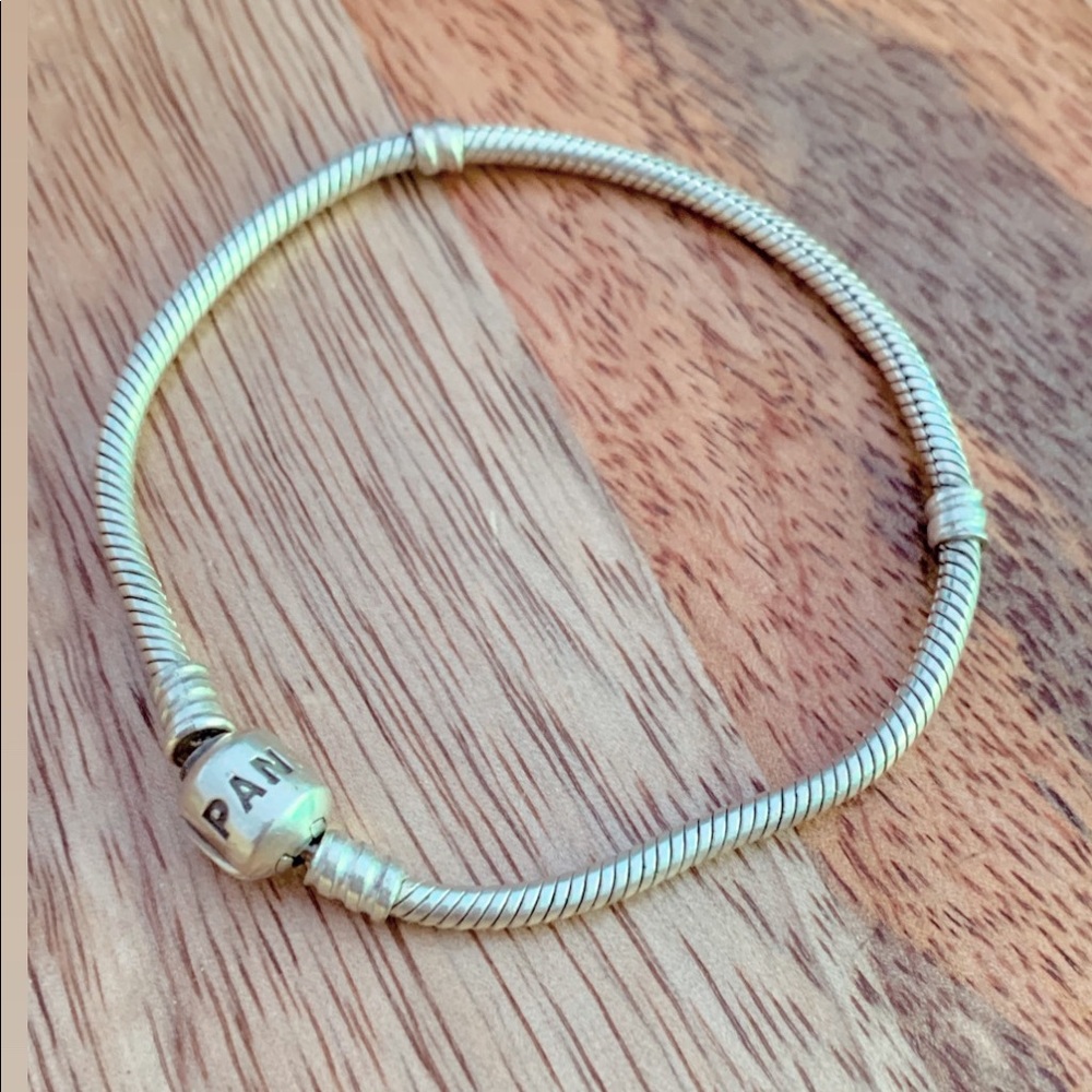 Pandora ICONIC SILVER CHARM BRACELET